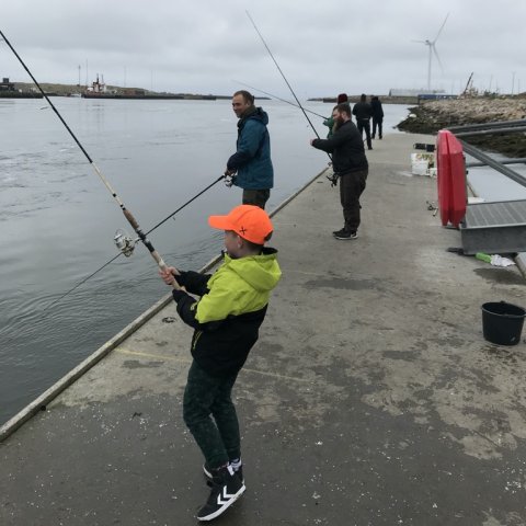 sildefiskeri hvide sande