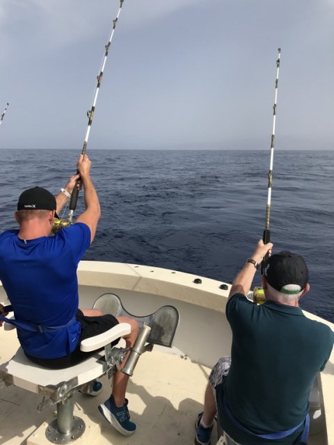 To stænger får hug - der gøres klar til fight