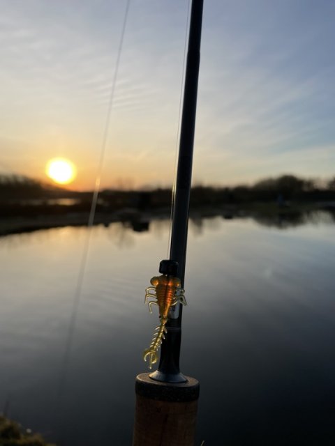 Solen sender den sidste energi til de nye micro finesse gummidyr fra Zman