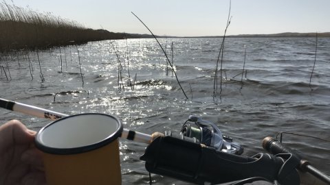 western wetlands highrider geddefiskeri esox