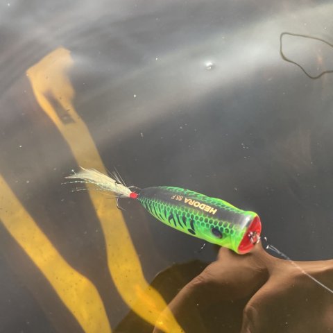 Popperfiskeri - uden hug