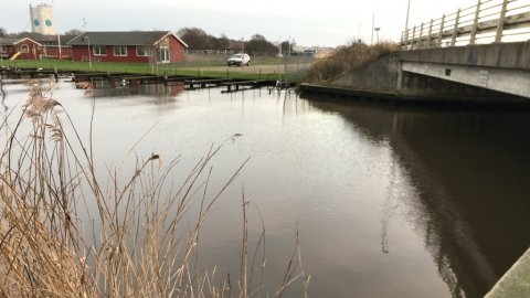 Vonå aborrefiskeri dropshot high 5 lures