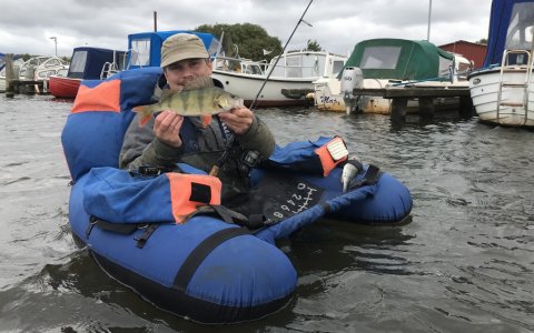 Kasper med friskfanget aborre Sommerlyst Vonå