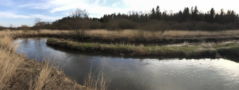 hover å vestjylland fiskeri