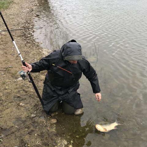 karpe hybrid fiskefoto.dk