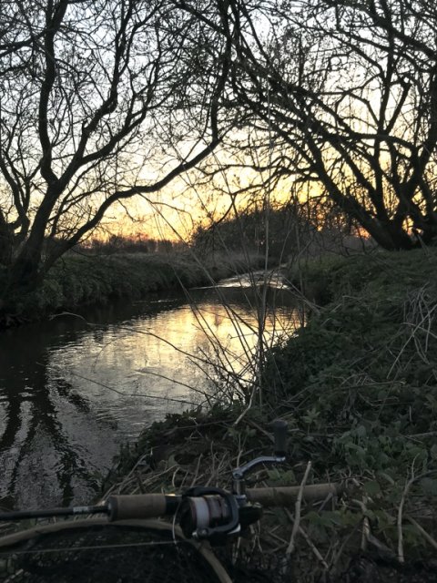 Hover å visit vestjylland fiskeri bækørred