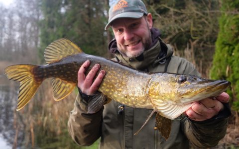 Pausefisker med dagens første gedde - fanget på levende aborre