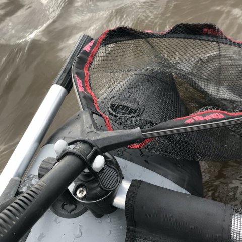 ringkøbing havn lystfiskeri aborre flydering