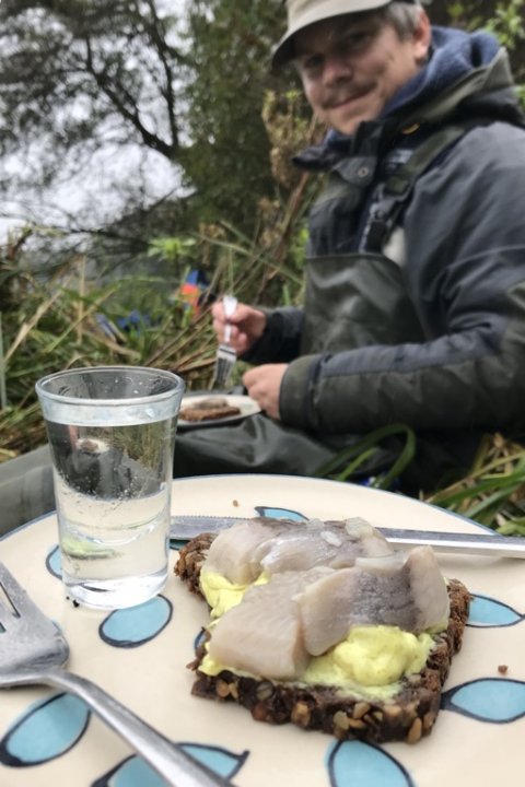 frokost i det grønne sildemad på søbredden snaps